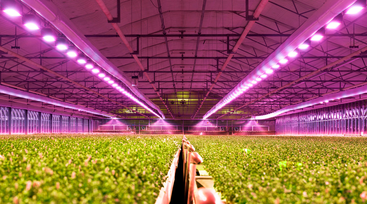 Indoor Farming and Grow Light Research Released