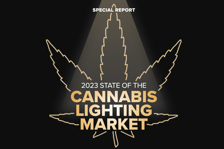 Fluence Releases State of the Cannabis Lighting Market Report